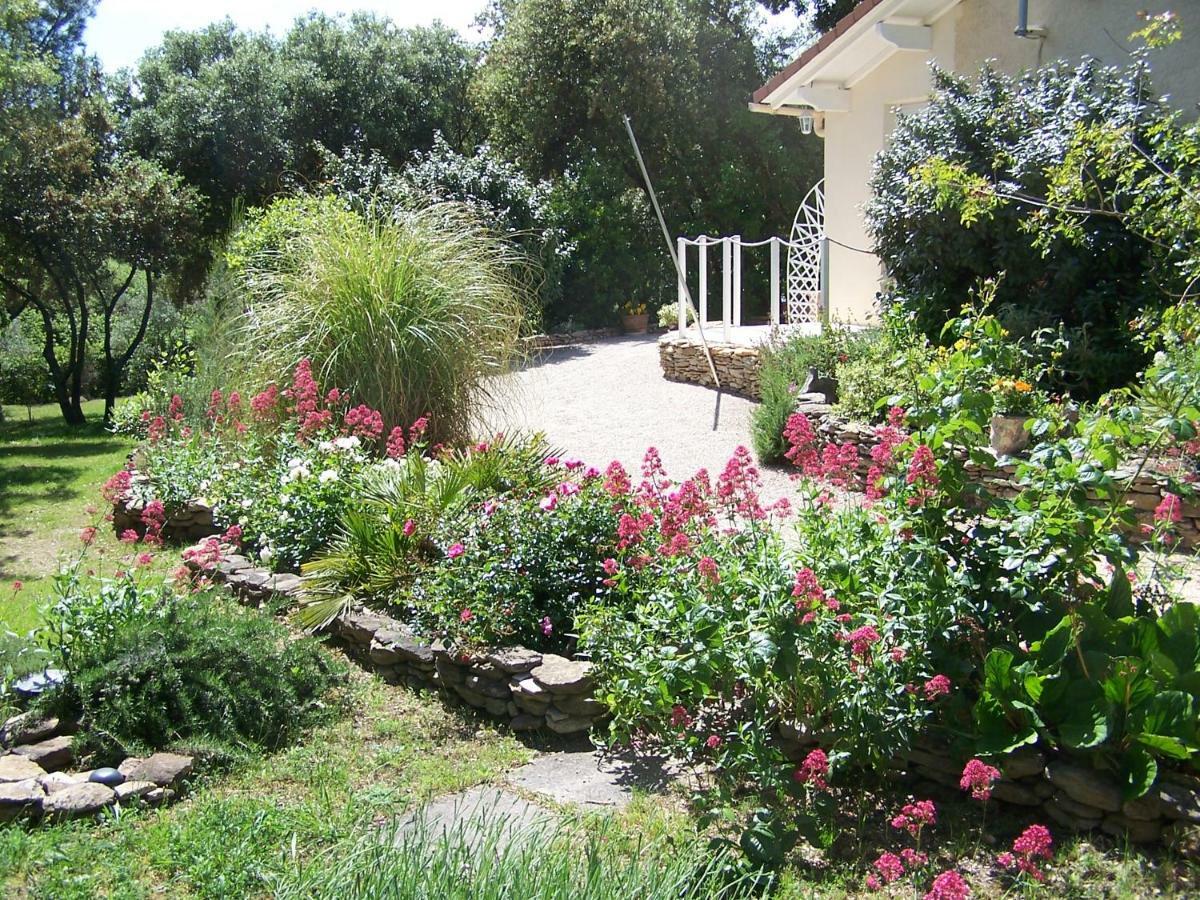 Ferienwohnung Les Florides LʼIsle-sur-la-Sorgue Exterior foto