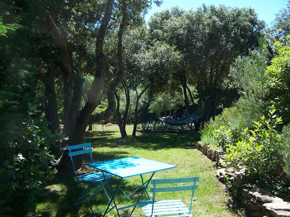 Ferienwohnung Les Florides LʼIsle-sur-la-Sorgue Exterior foto