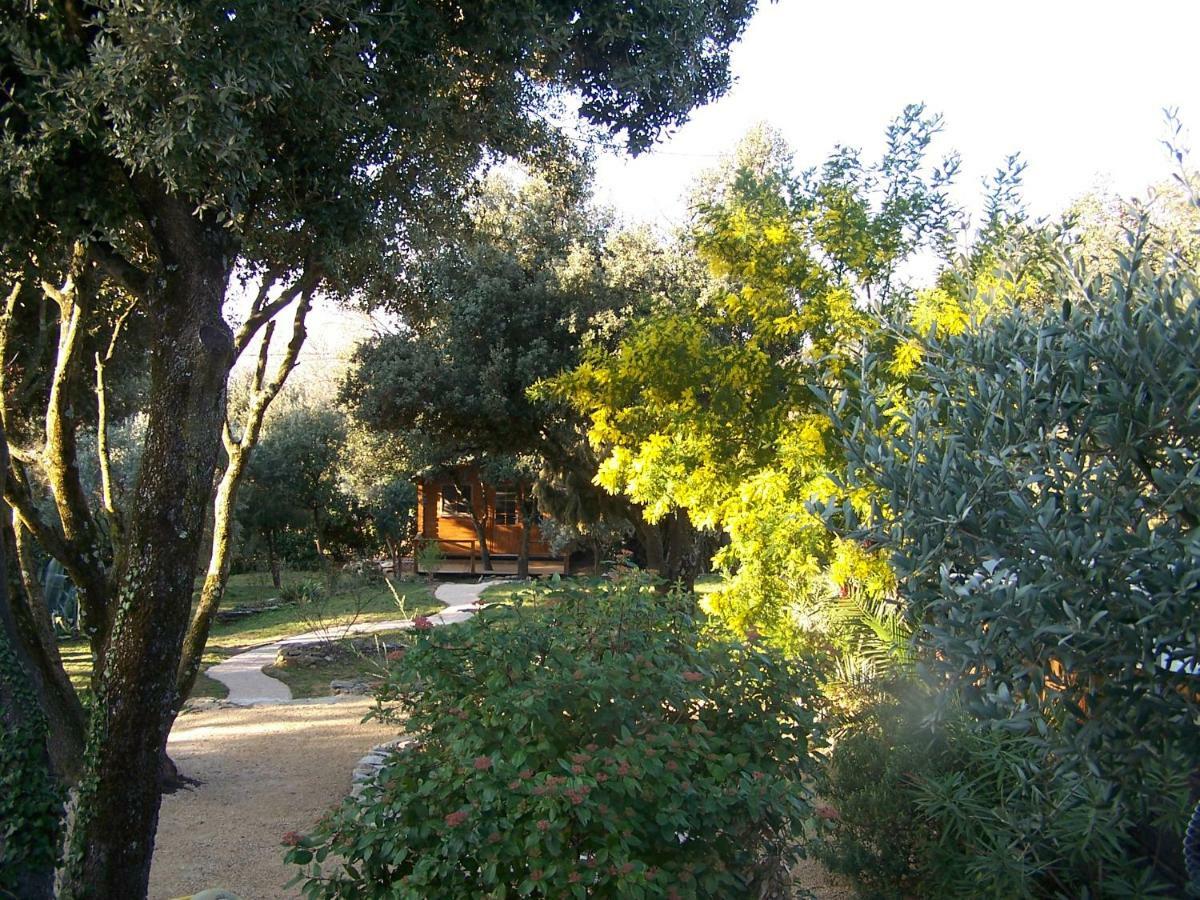 Ferienwohnung Les Florides LʼIsle-sur-la-Sorgue Exterior foto